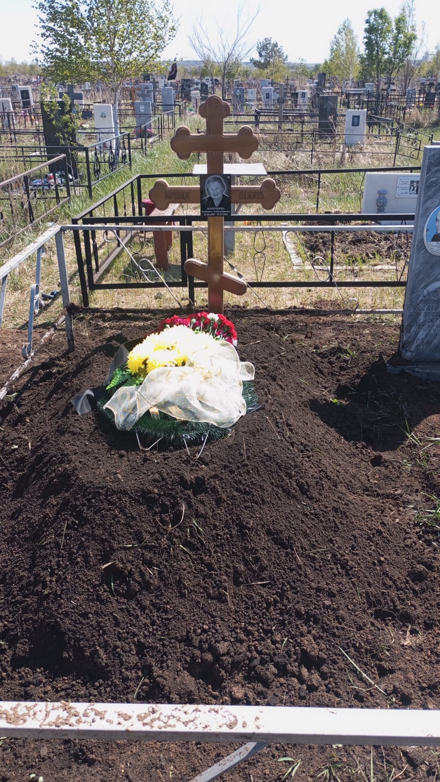 Марочкина Елизавета Александровна