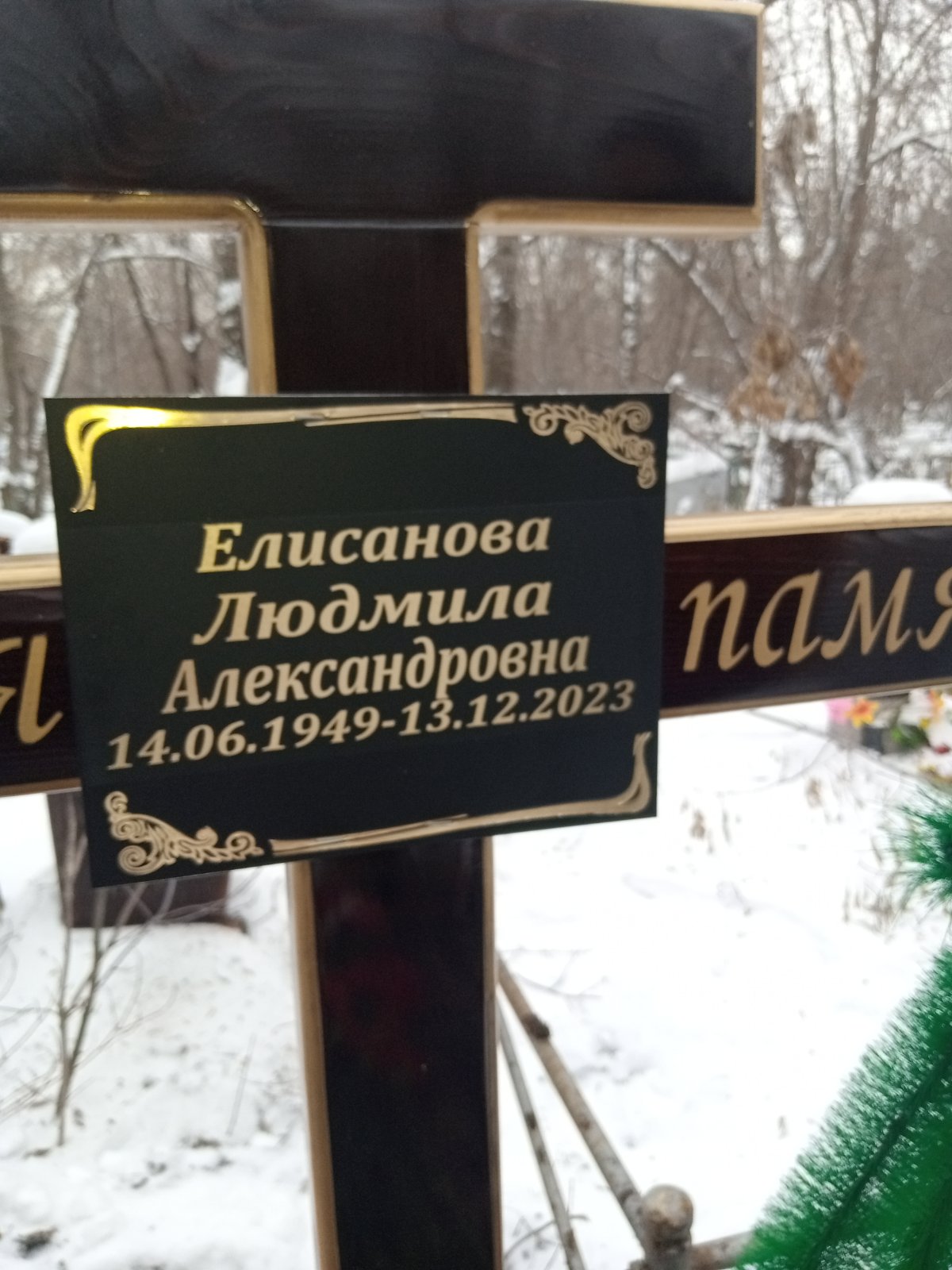 Елисанова Людмила Александровна