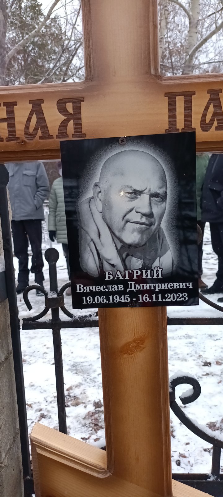 Багрий Вячеслав Дмитриевич