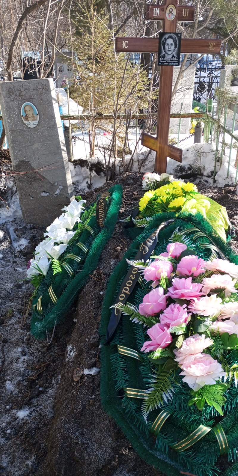 Баборыкина Галина Николаевна