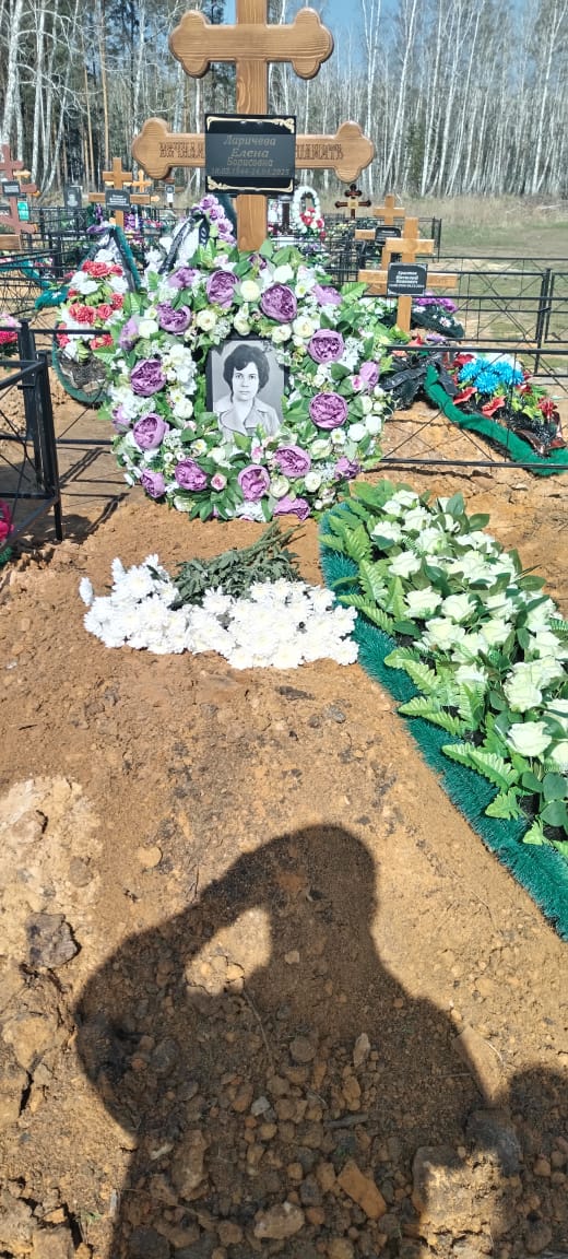 Ларичева Елена Борисовна