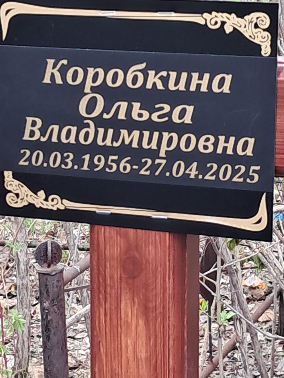 Коробкина Ольга Владимировна