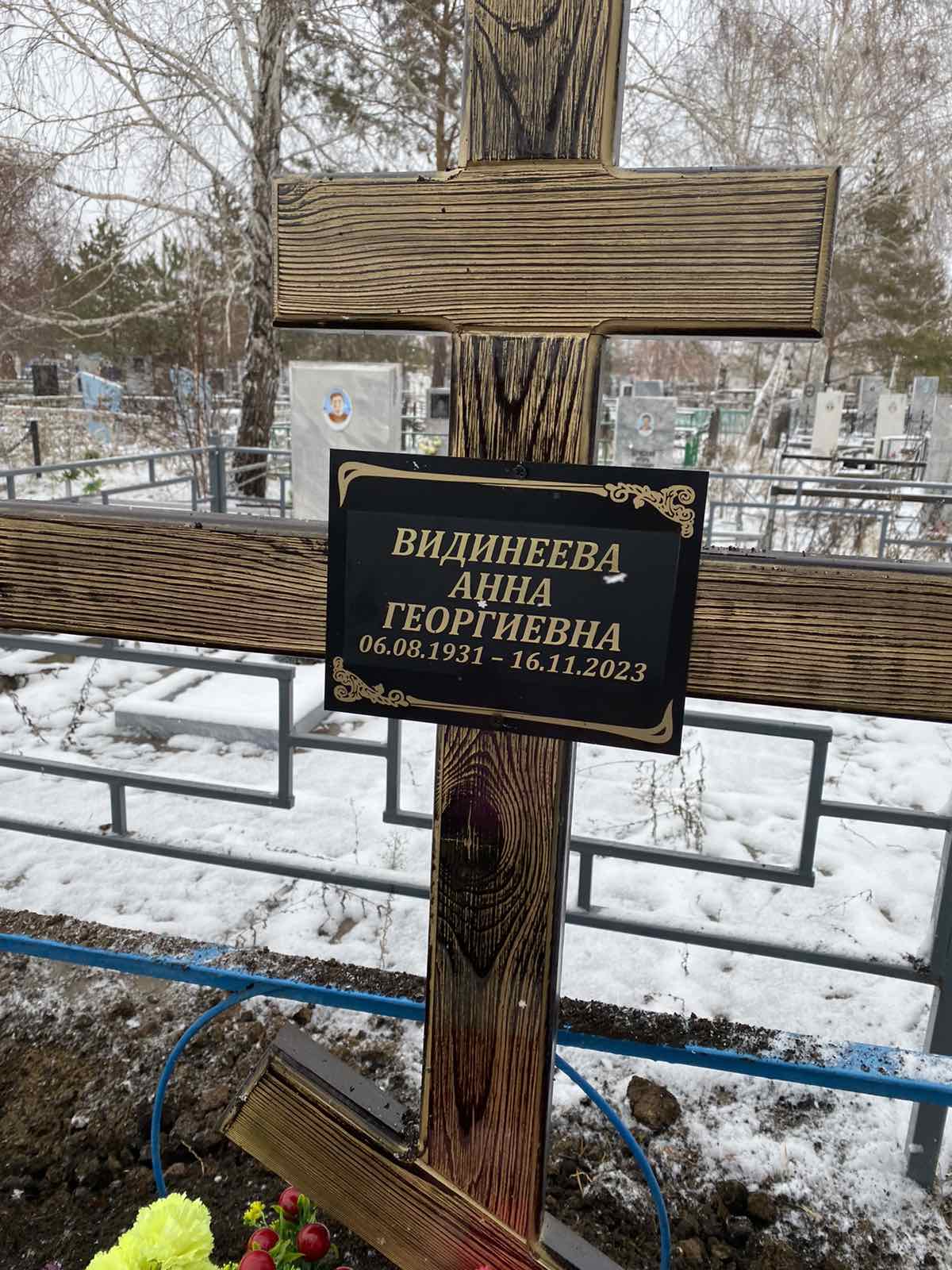Видинеева Анна Георгиевна
