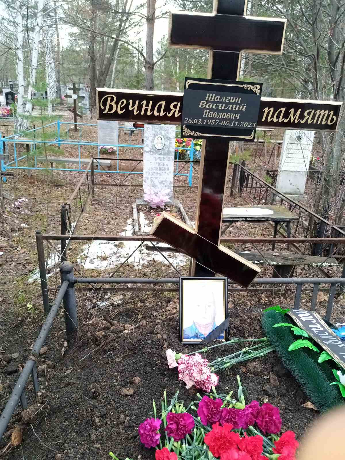 Шалгин Василий Павлович