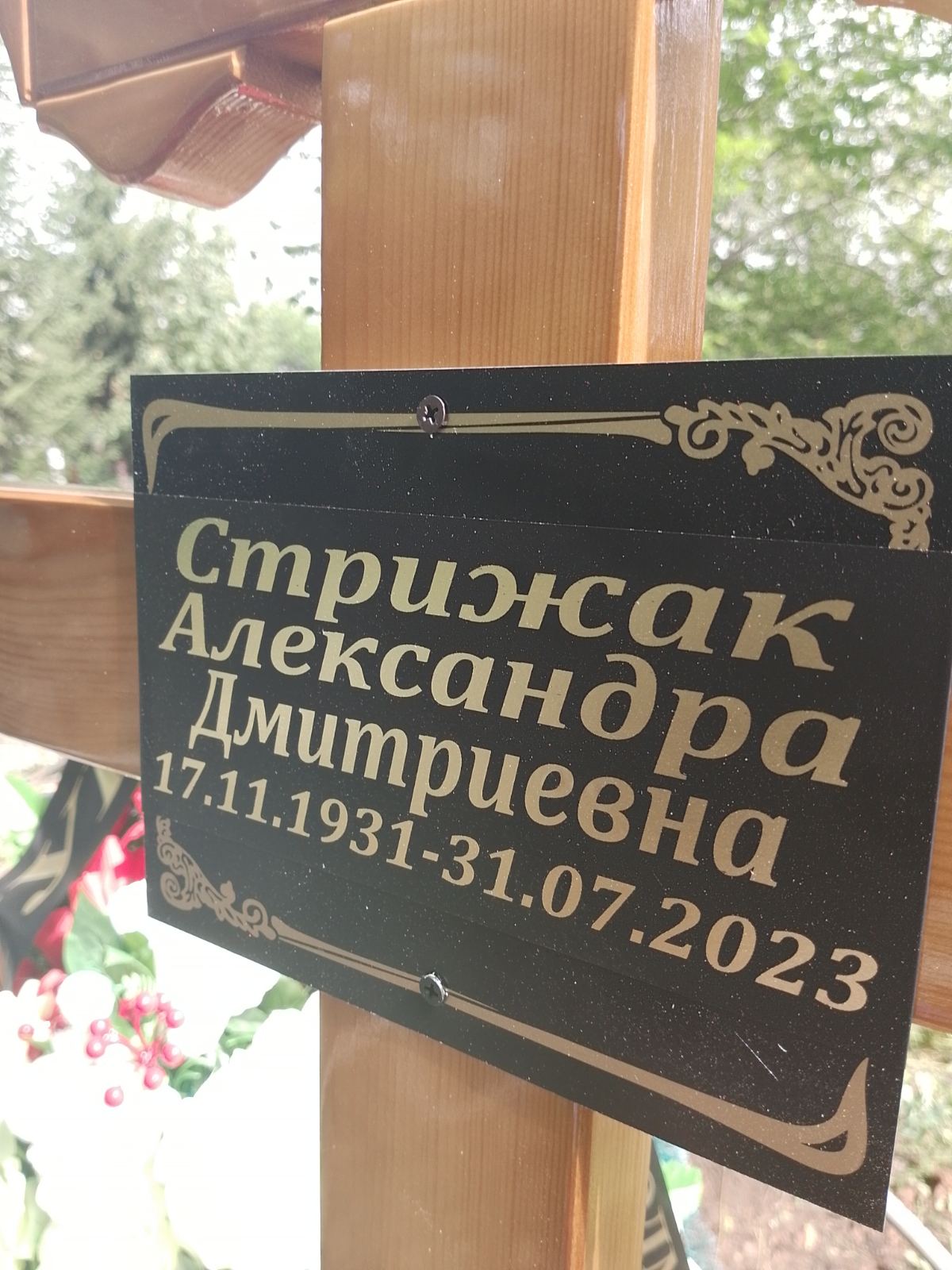 Стрижак Александра Дмитриевна