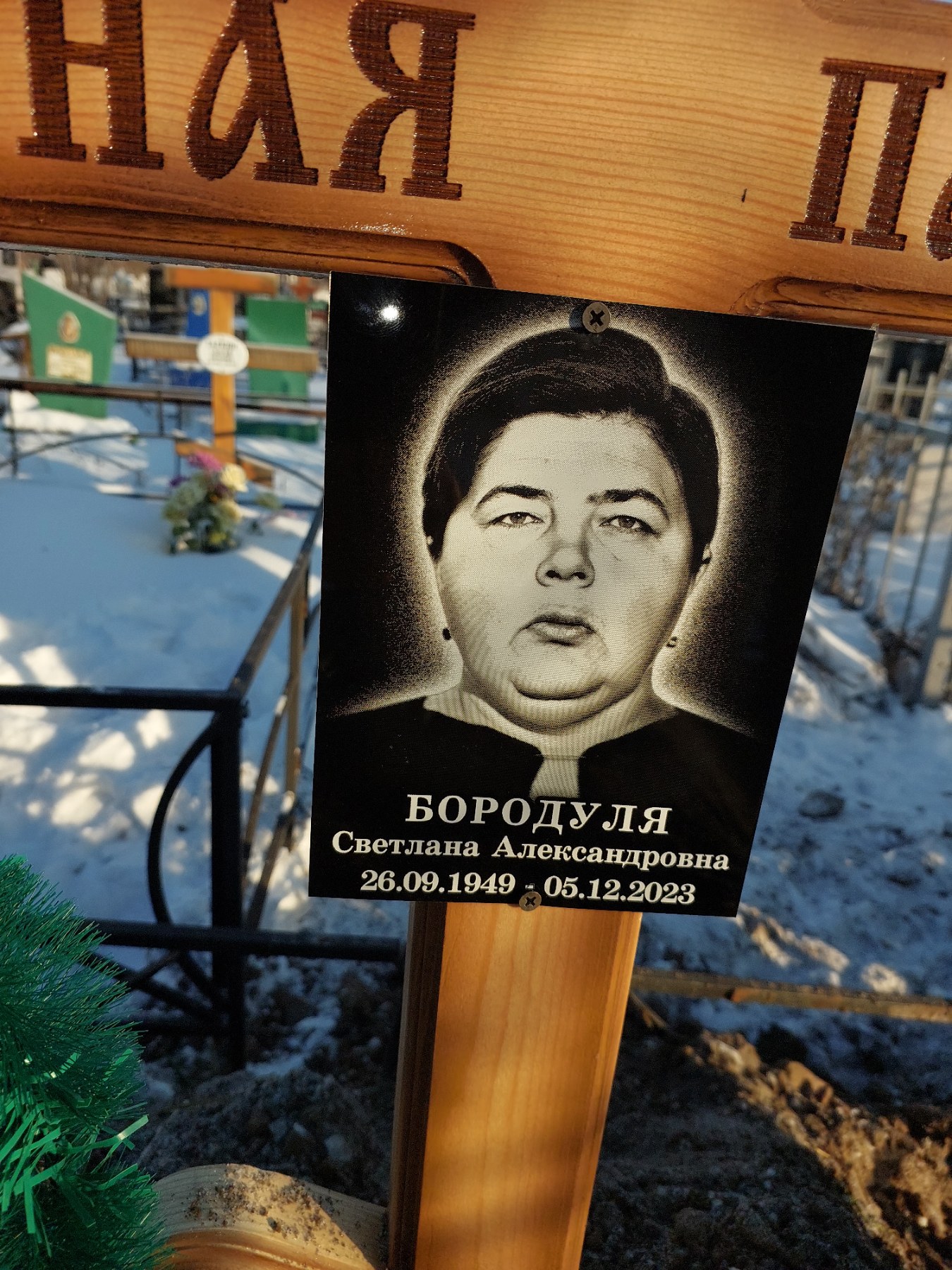 Бородуля Светлана Александровна