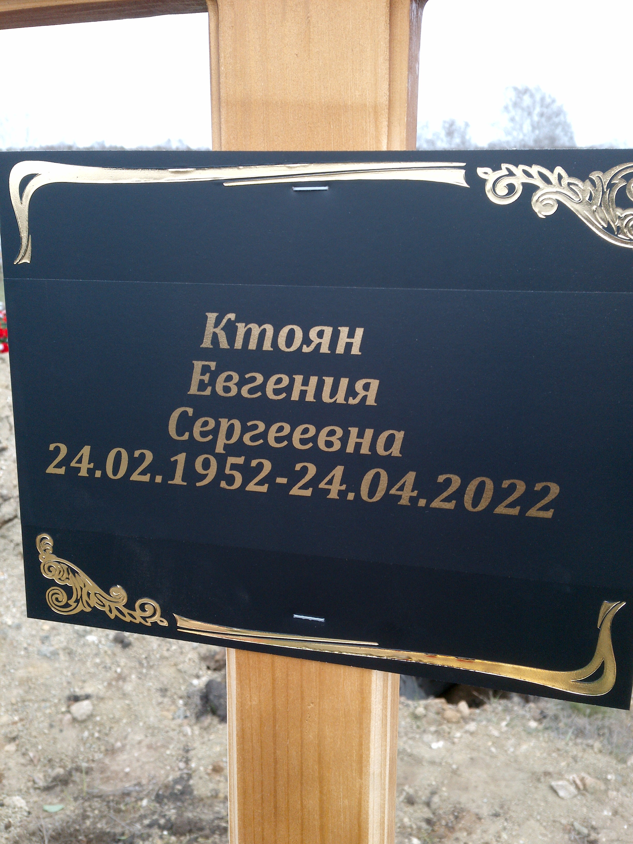 Ктоян Евгения Сергеевна