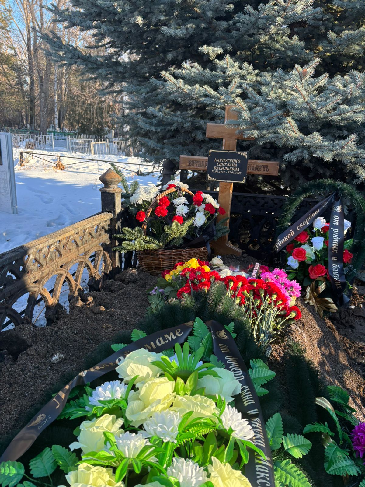 Карпусенко Светлана Васильевна