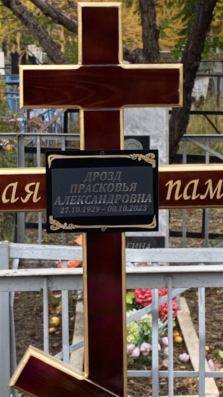 Дрозд Прасковья Александровна