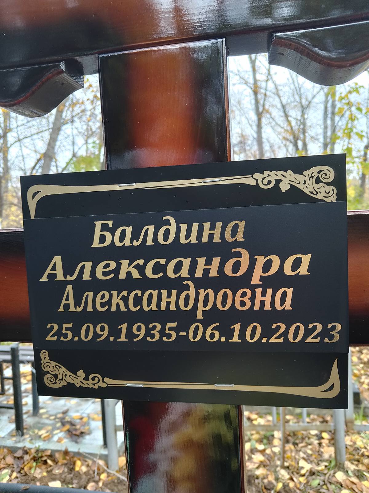 Балдина Александра Александровна