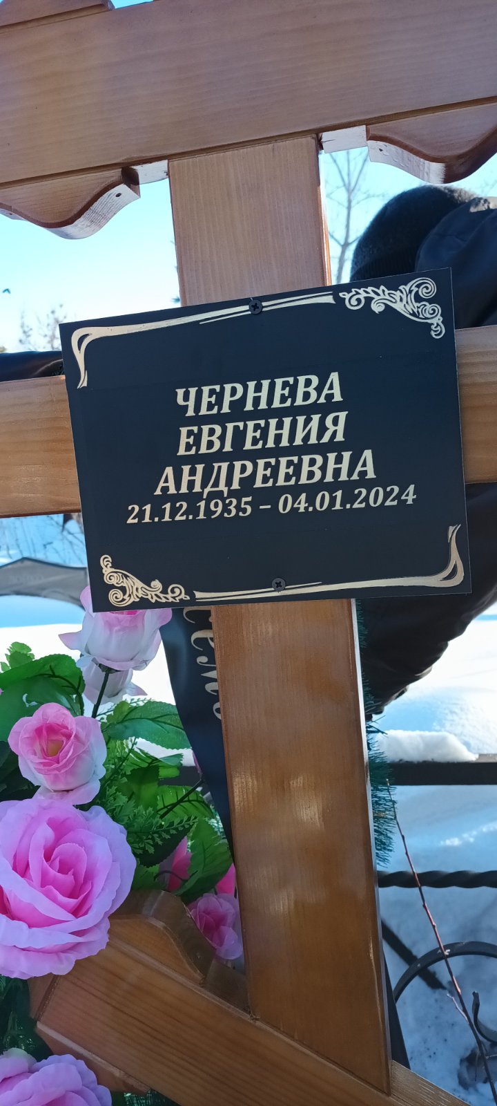 Чернева Евгения Андреевна