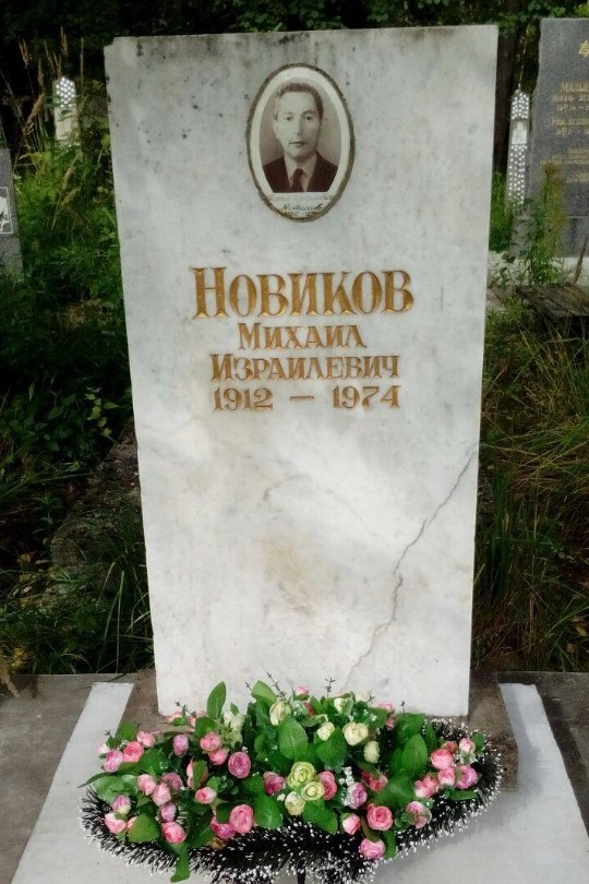 Новиков Михаил Израилевич