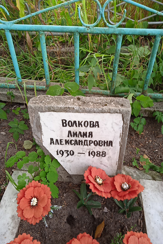 Волкова Лилия Александровна