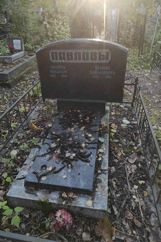Павлов Андрей Никитич