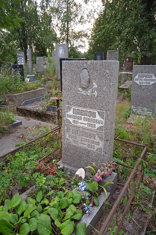 Павлов Николай Павлович
