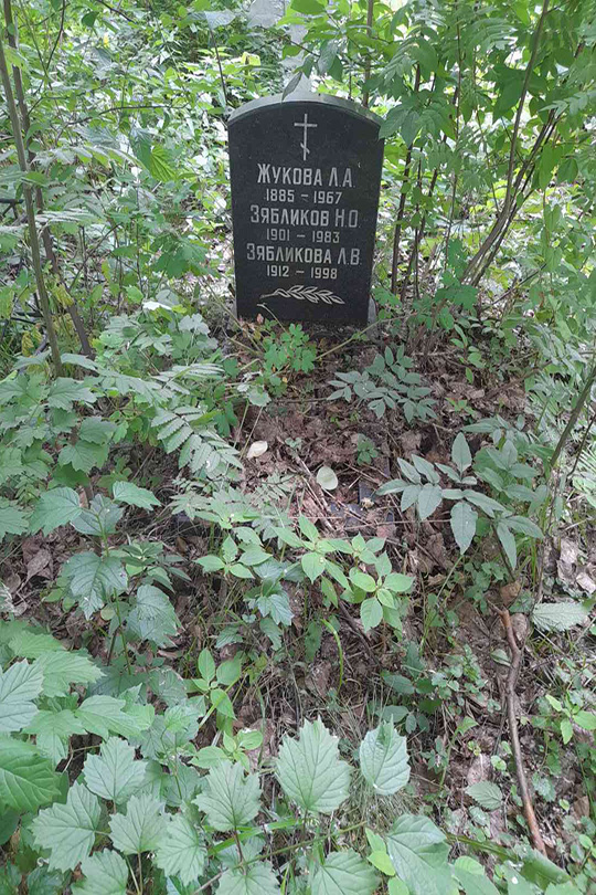 Жукова Л. А.