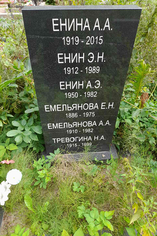 Емельянова Е. Н.