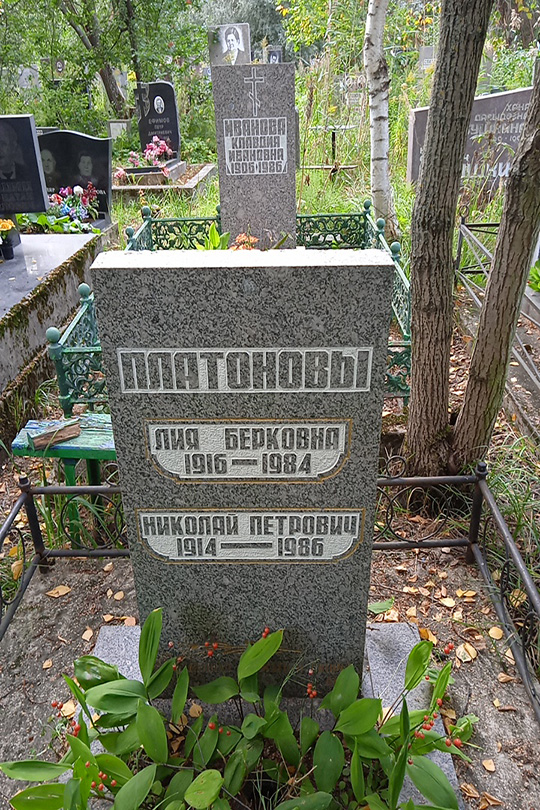 Платонов Николай Петрович