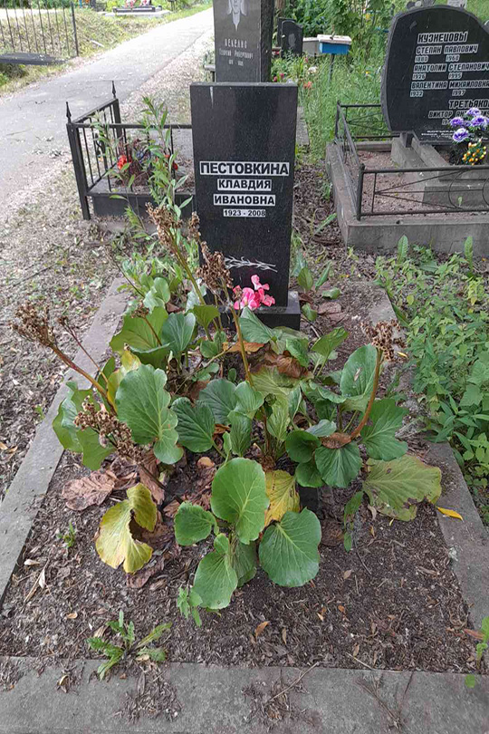 Пестовкина Клавдия Ивановна