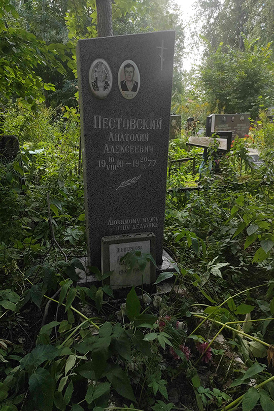 Пестовский Анатолий Алексеевич