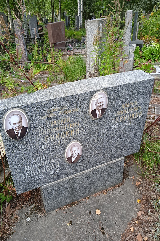 Левицкий Андрей Николаевич