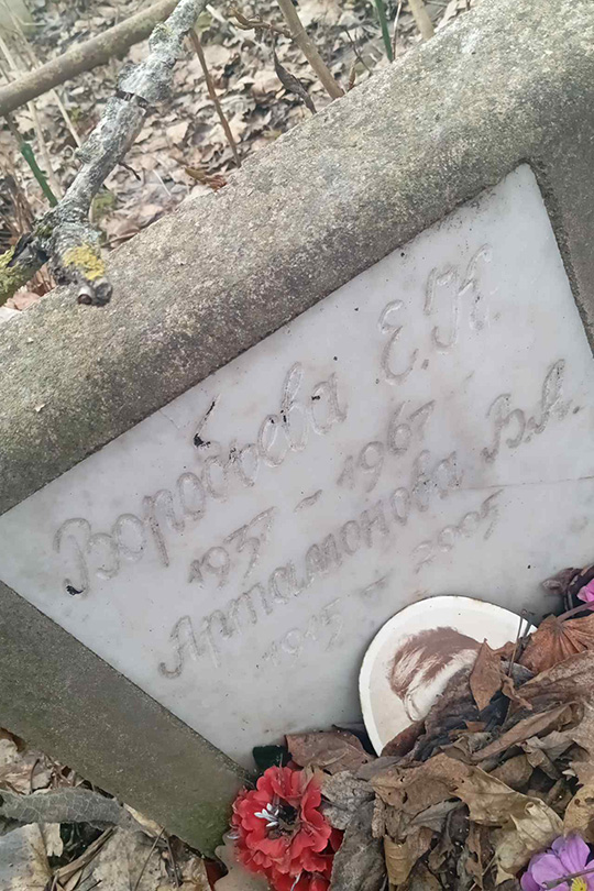 Артамонова В. А.