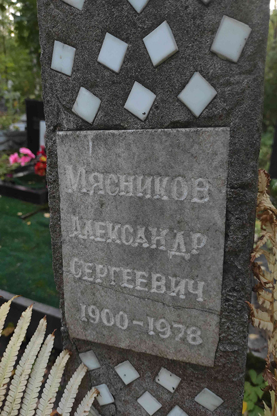 Мясников Александр Сергеевич