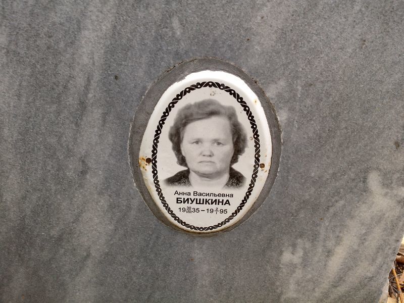 Биушкина Анна Васильевна