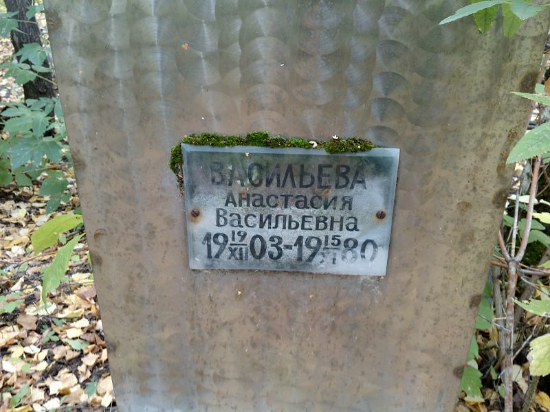 Васильева Анастасия Васильевна