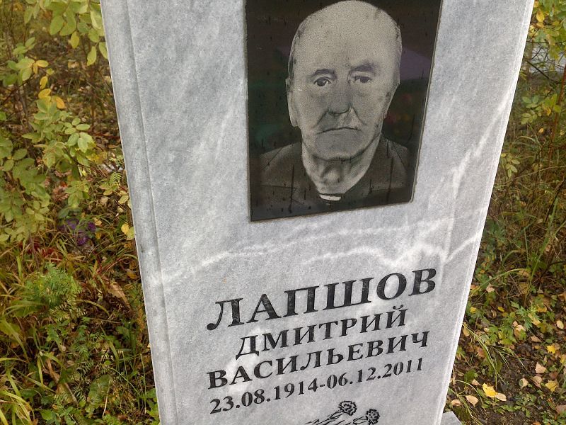 Лапшов Дмитрий Васильевич