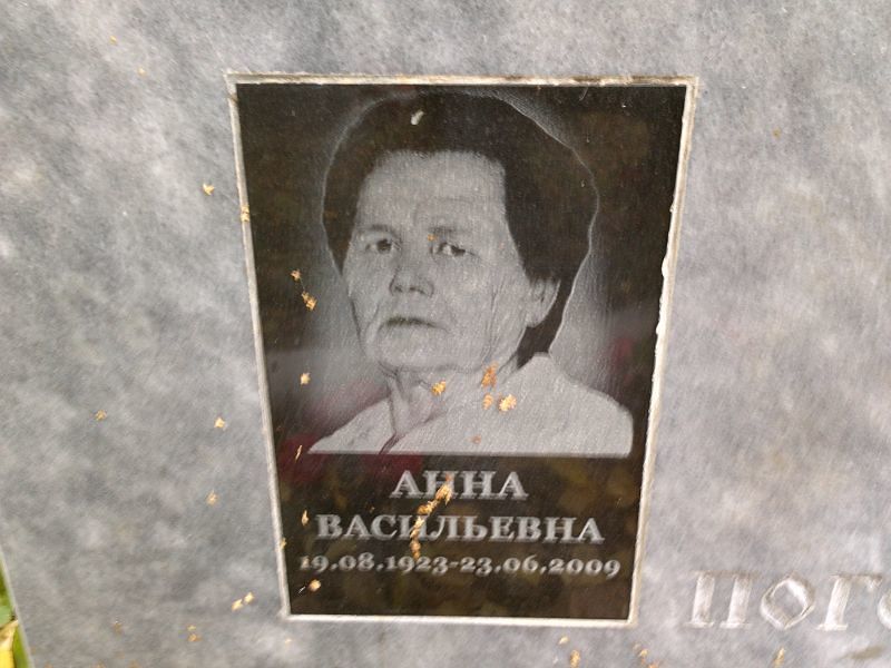 Погодаева Анна Васильевна