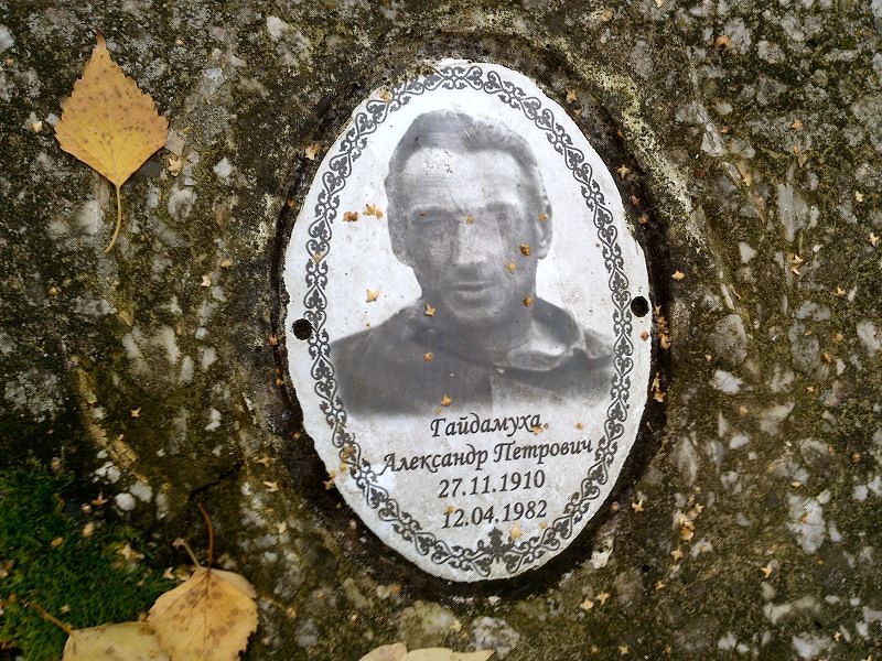 Гайдамуха Александр Петрович