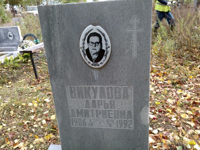 Викулова Дарья Дмитриевна