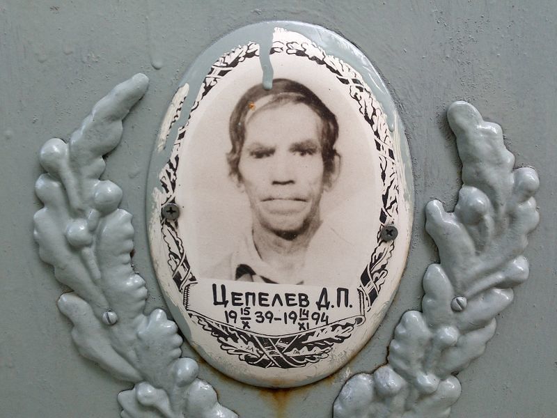 Цепелев Д. П.