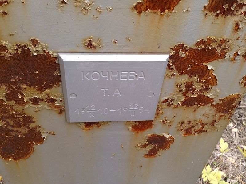 Кочнева Т А