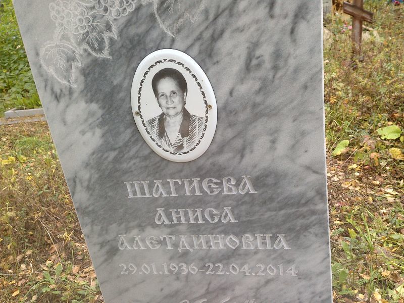 Шагиева Аниса Алетдиновна
