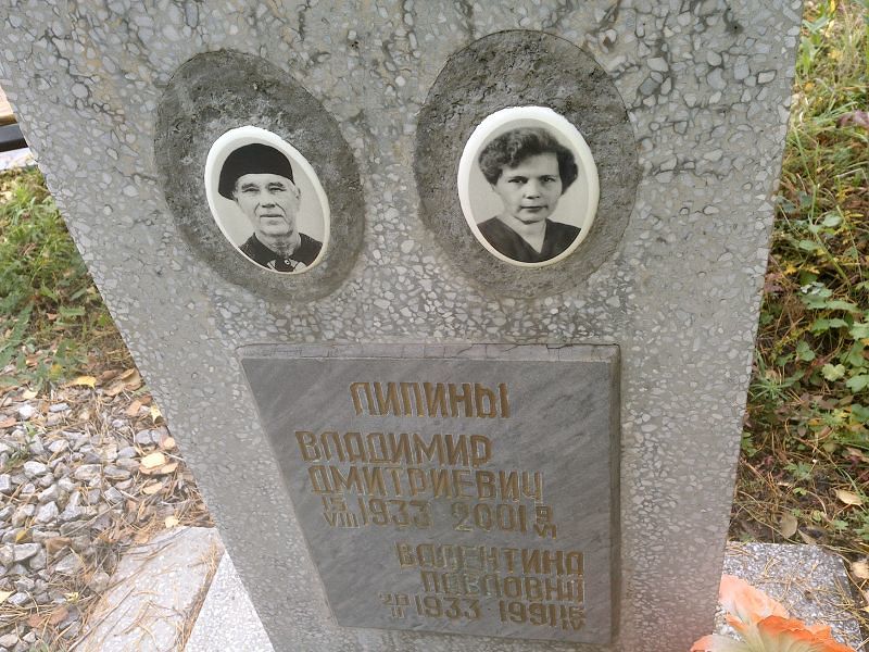 Липин Владимир Дмитриевич