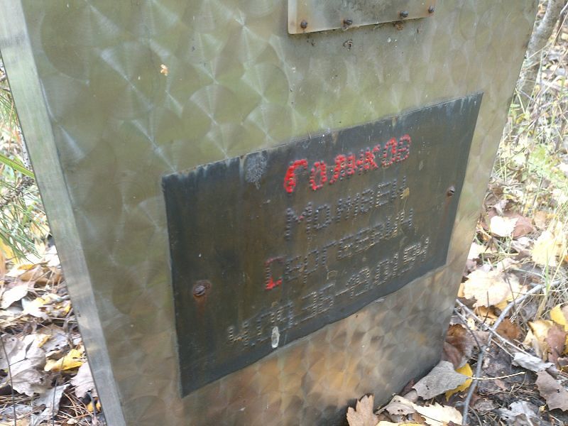 Голиков Матвей Сергеевич