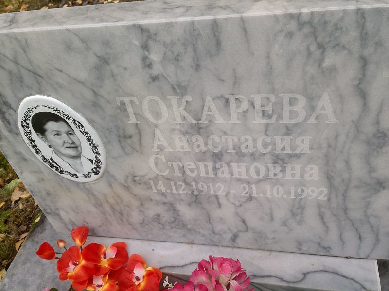 Токарева Анастасия Степановна