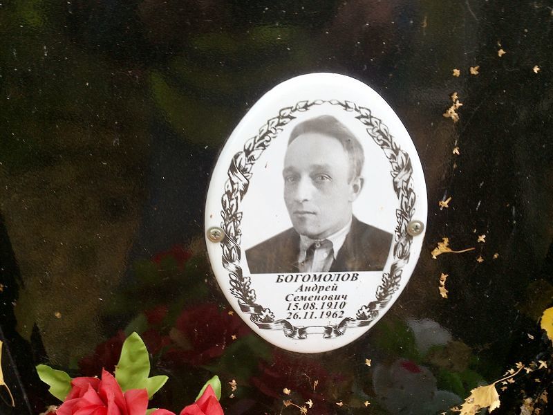 Богомолов Андрей Семенович