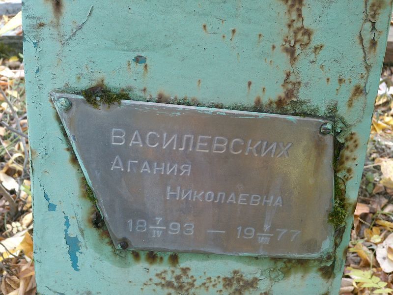 Василевских Агания Николавна
