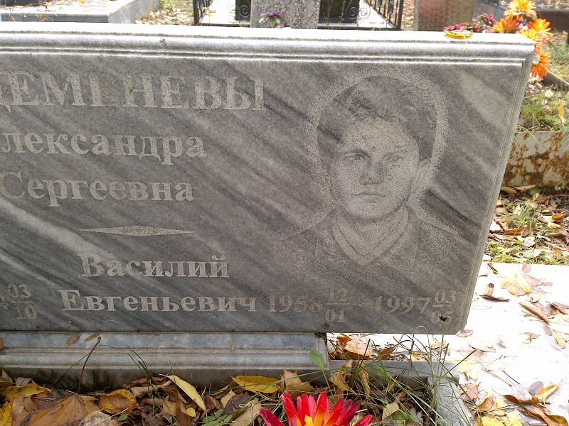 Деменев Василий Евгеньевич