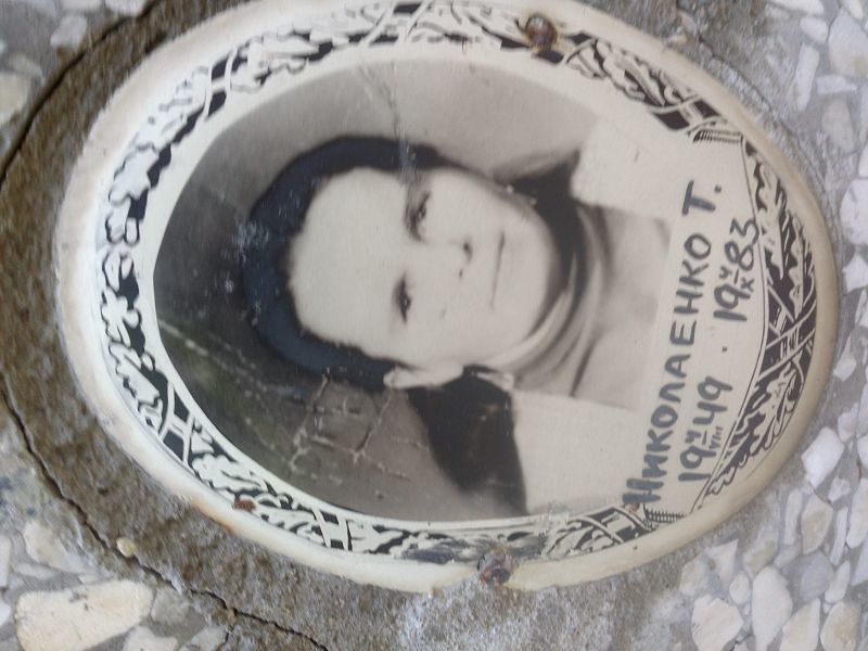 Николаенко Т