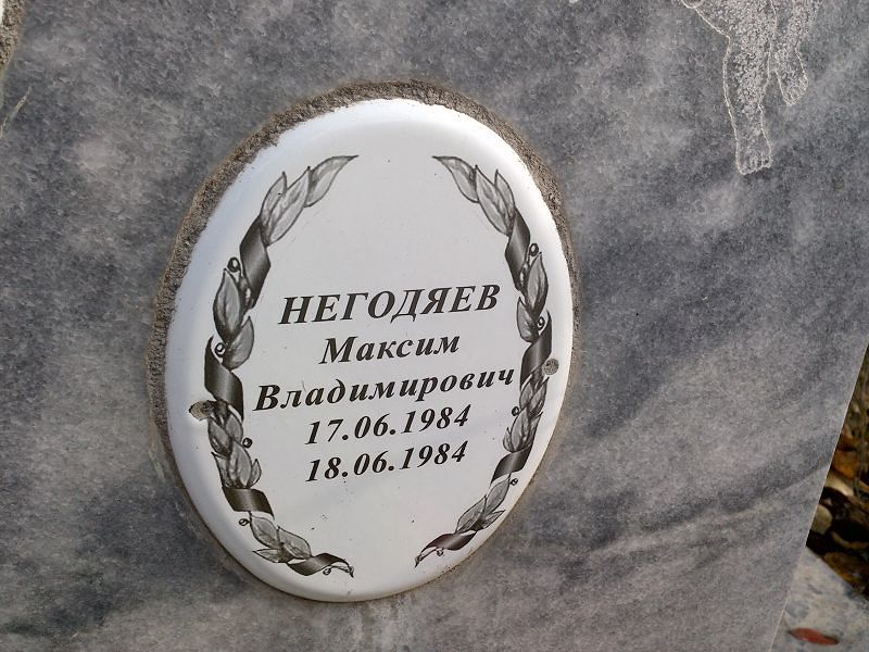 Негодяев Максим Владимирович