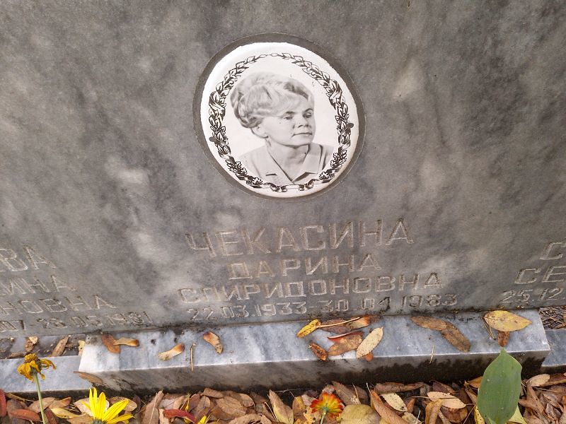 Чекасина Дарина Спиридоновна