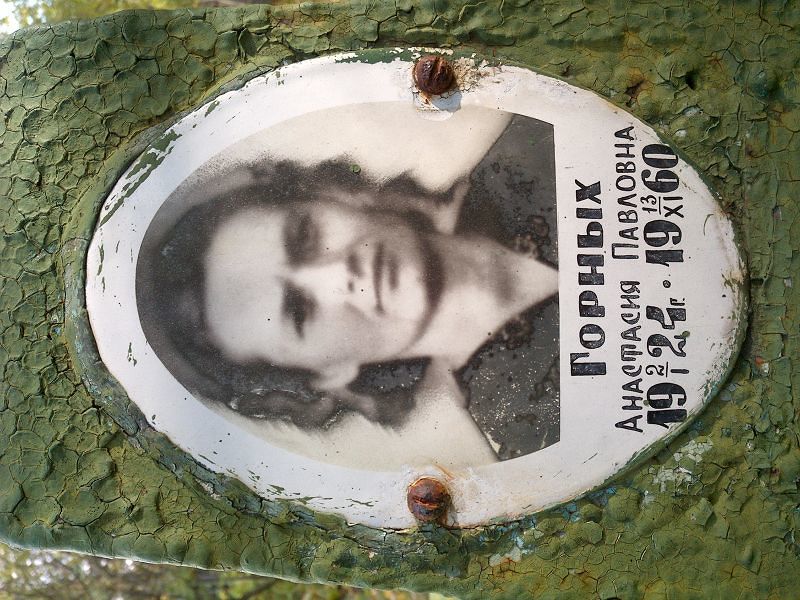Горных Анастасия Павловна