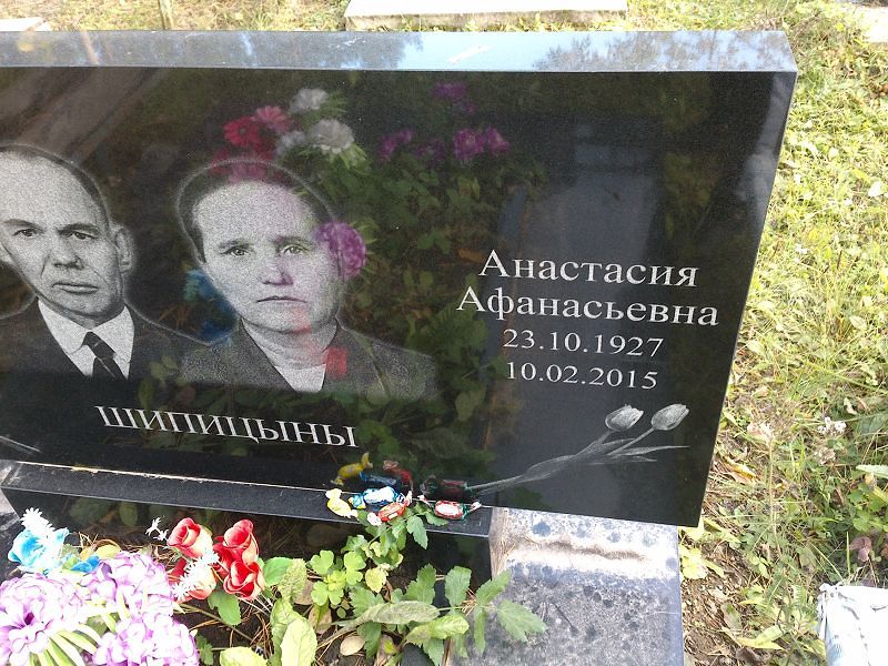 Шипицына Анастасия Афанасьевна