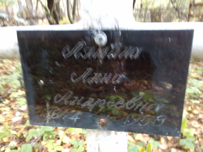 Ляпина Анна Андреевна