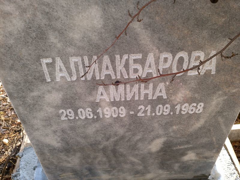 Галиакбарова Амина