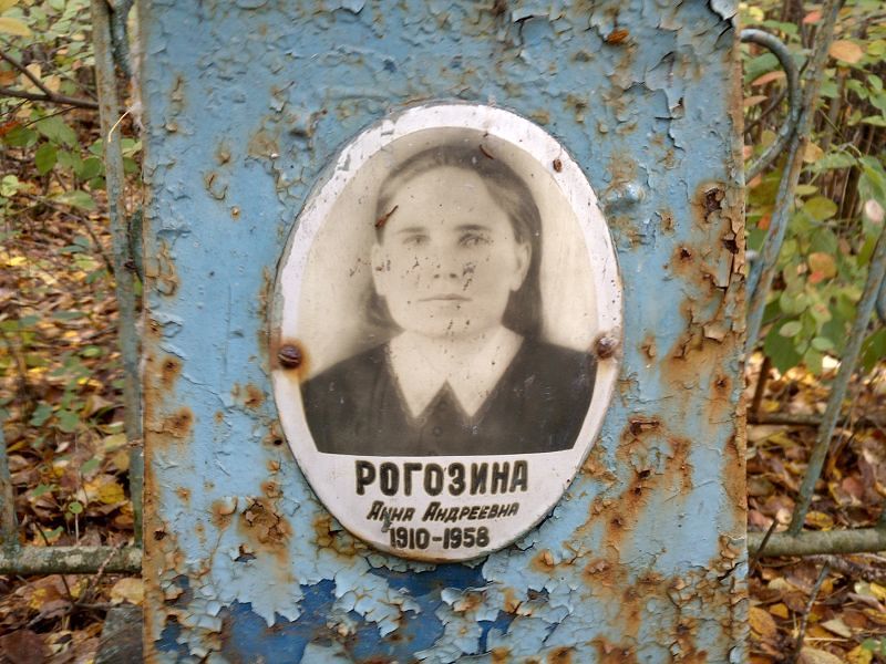 Рогозина Анна Андреевна